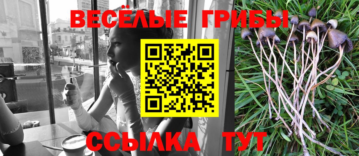 Галлюциногенные грибы Качканар