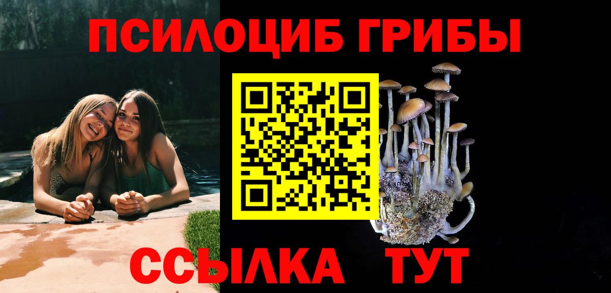 Псилоцибиновые грибы MAGIC MUSHROOMS  Вход с VPN  Качканар 